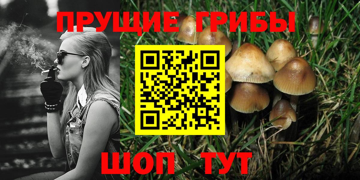 Псилоцибиновые грибы MAGIC MUSHROOMS  Вход с VPN  Дербент  Псилоцибиновые грибы Magic Shrooms 