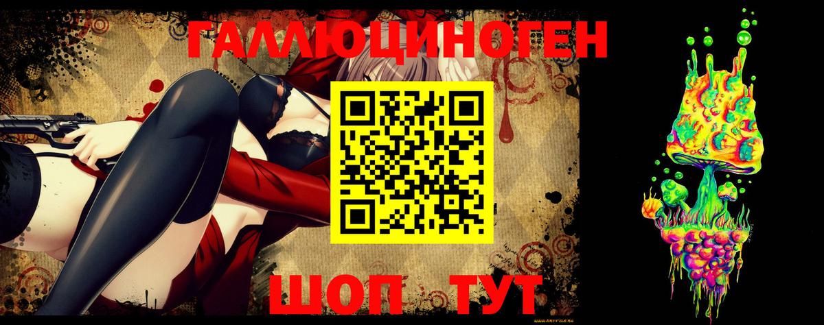 Псилоцибиновые грибы GOLDEN TEACHER Дербент